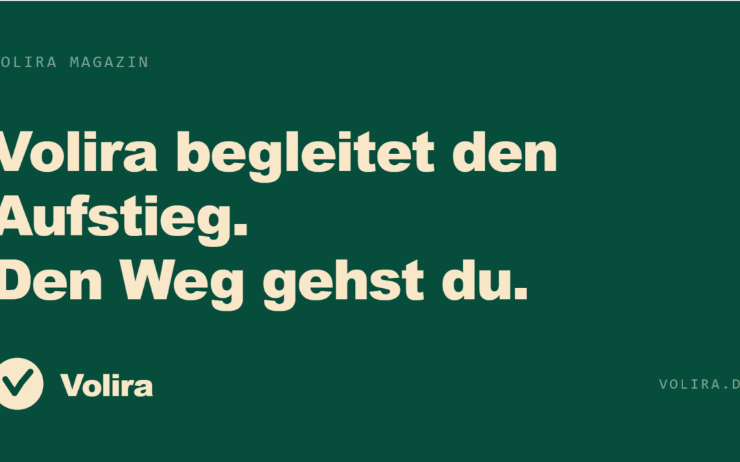 Lebenslauf: Warum Balken, Kreise und sonstige Gimmicks im Lebenslauf sinnlos sind